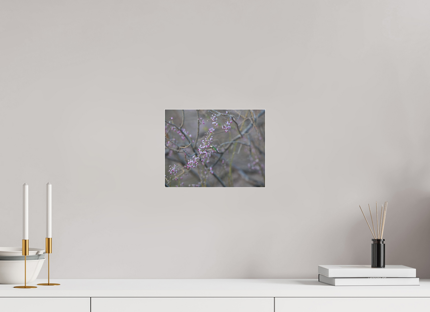 Hummingbird Desert Blossoms