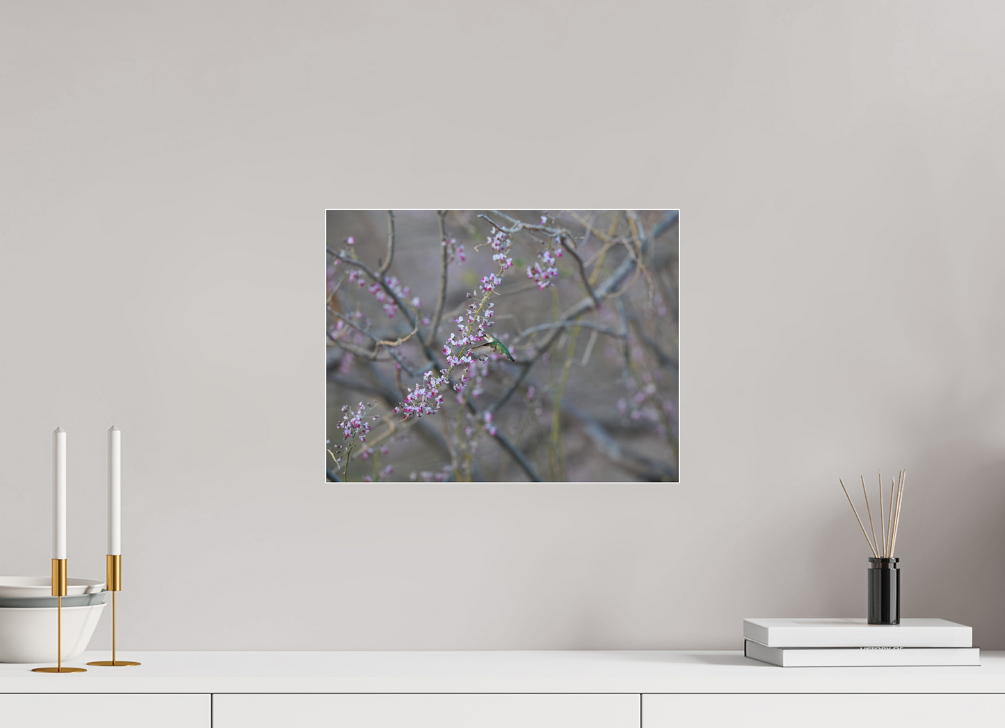 Hummingbird Desert Blossoms