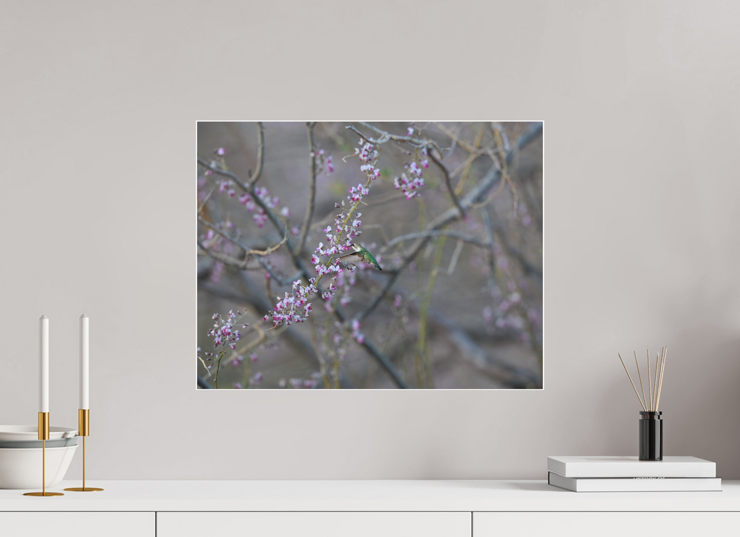 Hummingbird Desert Blossoms