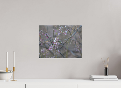 Hummingbird Desert Blossoms